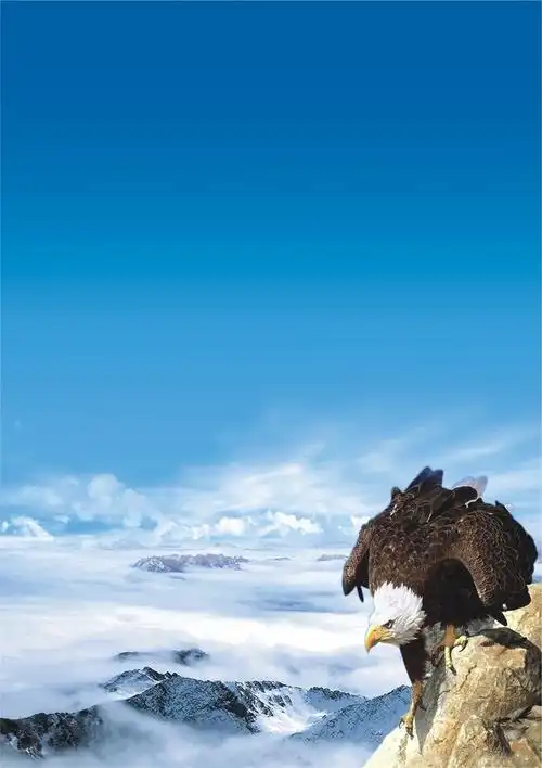 空气品质处理系统包括